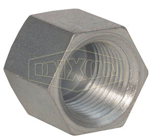 TAPON HEMBRA 1/4 NPT CAP-4FP
